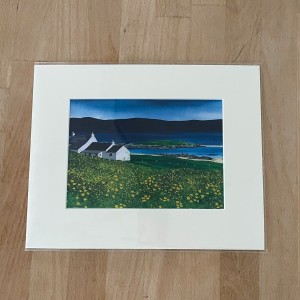 Buttercups Print image