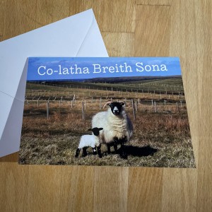 Happy Birthday Card - Sheep  image