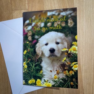 Get Well Soon Card  image