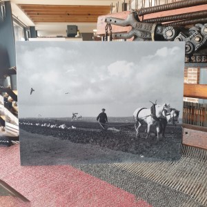 'Nis Aosmhor' Print: Ploughing with Horses image